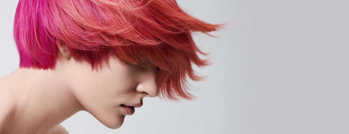 elumen pk